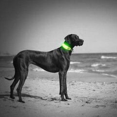 Accessoires de collier de laisse pour animaux de compagnie, couverture de lumière de collier de chien à LED utiles, trucs clignotants pour protéger la lumière de sécurité du chien dans l'obscurité