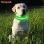 2021 New Product Wholesale Custom Designer LED Dog Collar Battery Light Up Nylon Led Collar for Dogs