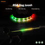 Cool Flashing RGB Led Dog Leash Multi-color USB Rechargeable Dog Leash Lead