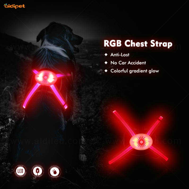 2021 Fashion  Usb Rechargeable Pet Harness Adjustable Dog Harness Leash Safety Vest with RGB Light