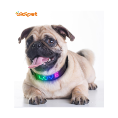 Wholesale High Quality TPU Black Adjustable Luxury LED Dog Collar APP Controlled Anti-lost Dog Collar