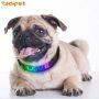 APP Control Night Safety Dog Collar Luminous Pet Collar Display Led Flashing Dog Collar waterproof