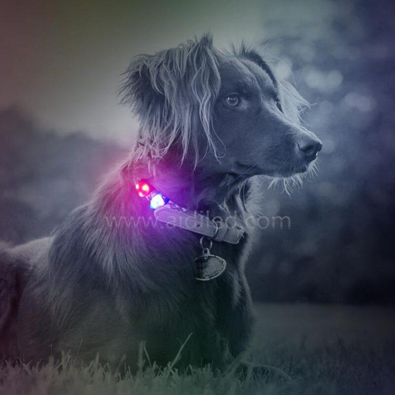 Small Pet Accessory Led Silicone Pendant Light for Collar Dog Paw ID Tag Pet Flashing Light