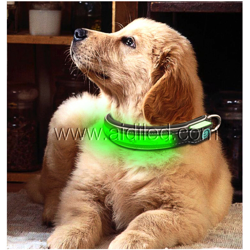 Dog Bone and Paw Printing Fashion Led Collar Dog Spandex Light up Custom Dog Collar for Night Walking Safety