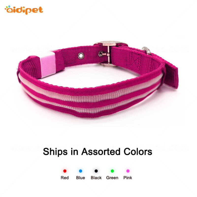 Personalized Dog Collar Safety Accessories Nylon USB Rechargeable Led Dog Collar Flashing Pet Supplies Light Collar Dog