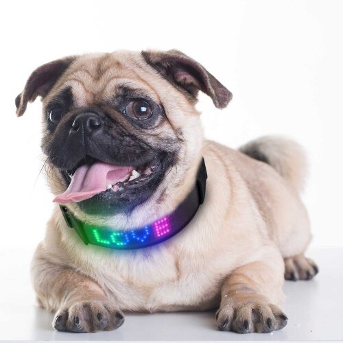 Smart  Dog Collar Flashing Light up Display Programmed Anti-lost Led Dog Collar for Night Safety