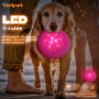 Outdoor Playing Flashing Dog Interactive Toy Flying Disc Dog Fun Eco-Friendly Silicone Dog  Flying Discs