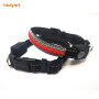 Small Puppy Collar with Flashing Light up Led Cat Dog Collars for Teddy Small Puppy Luminous Dog Harness Collar