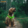 Nylon Dog Light up Harness with USB RGB Multi-color Light Glow in the Dark Dog Harness for Pet Dog Safety