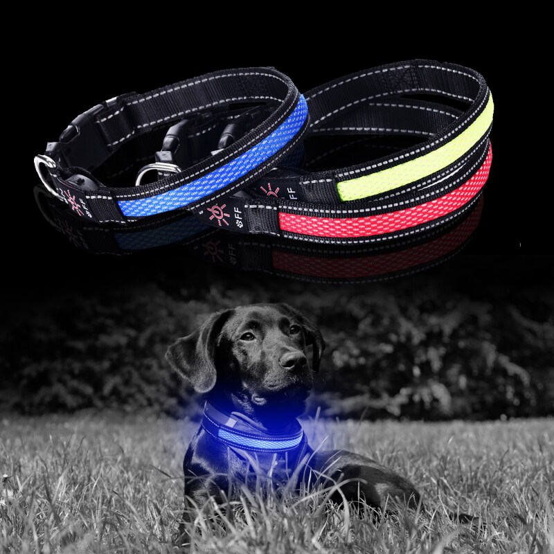 Rechargeable Flashing Lights Dog Collar Perro Nylon Mesh Luminous Led Dog Collar Nylon Glow up in Dark
