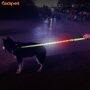 Reasonable Price Led Light Dog Leash Nylon Pet Luminous Night Safety Dog Leash Lead with RGB light