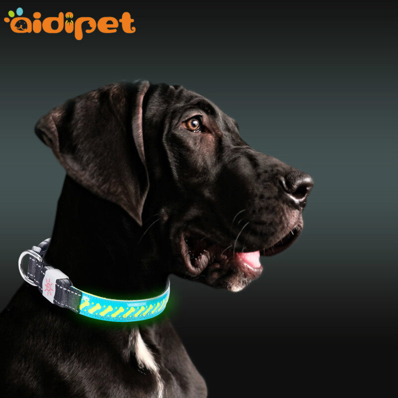 Pet Supplies Custom Wholesale Nylon Waterproof Rechargeable Luminous Glow Necklace Lighted Dog Collar