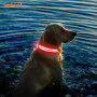 Metal Pin Buckle USB Rechargeable Dog Collars Light Up Led Flashing Collar Para Perro