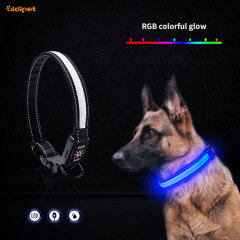 White Dog Collar with RGB Colorful Multiple Color Light  Flashing Pet Collar Amazon Hot Sell Dog Collars