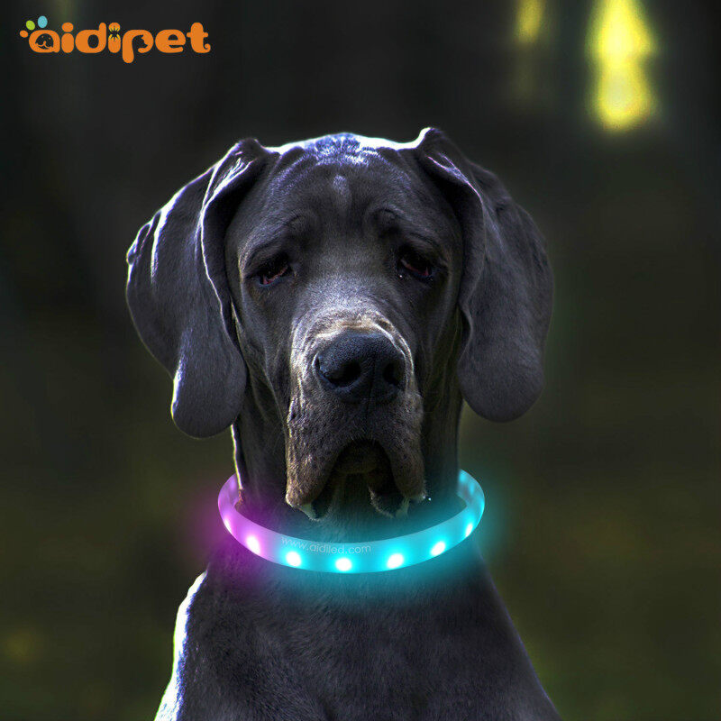 Hot Selling Chinese Factory Wholesale Custom Logo Led Dog Collar with RGB Light USB Rechargeable Collar
