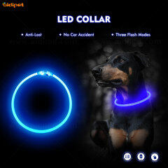 Flea Fancy LED Dog Head dog collar in stock