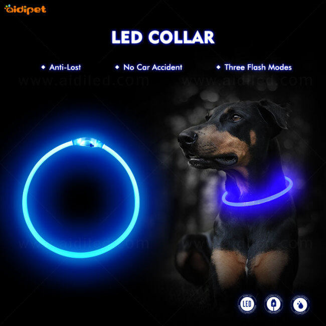 Collier pour chien Flea Fancy LED Dog Head en stock