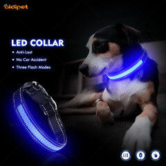 Collier de chien LED léger rechargeable par USB en nylon et purée de LED avec plusieurs formes