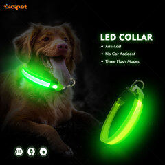 Collier LED pour chien d'animal familier rechargeable USB pour la sécurité de nuit