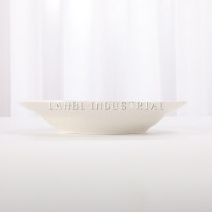 Wholesale Restaurant Home Uesd 9" Ceramic Soup Plate With Silver Line