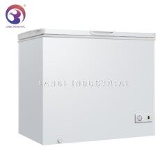 Wholesale Big Size 251L Commercial Chest Freezer with Lock and Light