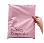Compostable Bag Clothing Self Adhesive Courier Mailing Shipping Envelope Mailer