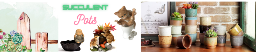 Plant Pots Wholesale