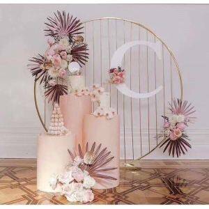 Wedding Decoration Round Frame Metal Backdrop Stand Sydney For Hire