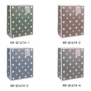 White Cardboard Gift Bag Star Designs Pack 100
