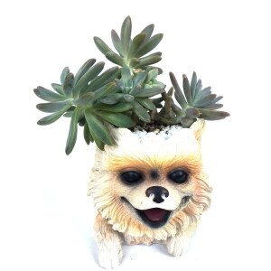 Cute Puppy Dog Pot