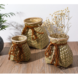 Vase For Plants & Flowers
