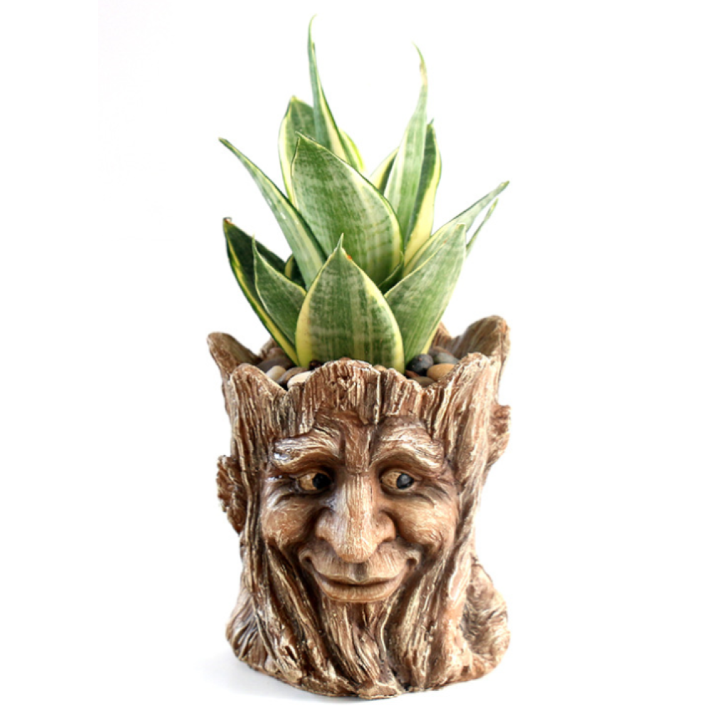 Carving on Stump Man Head Creative Plant Pot