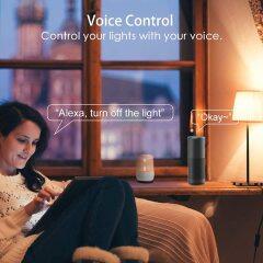 Tuya App Remote Control 10W Alexa Smart Wifi Led Light Bulb