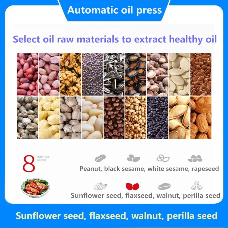 22A Mini Oil Press Machine Plant Seed Rape Seed Sesame Walnut Peanut Oil Press Hot And Cold Fruit Juicer