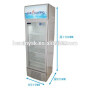 Industrial 1glass Door Upright Display Freezer of Higih Quality