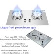 Liquefied petroleum gas