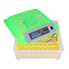48-Egg Practical Peep Hole Fully Automatic Poultry Incubator (US Standard) Green & Transparent