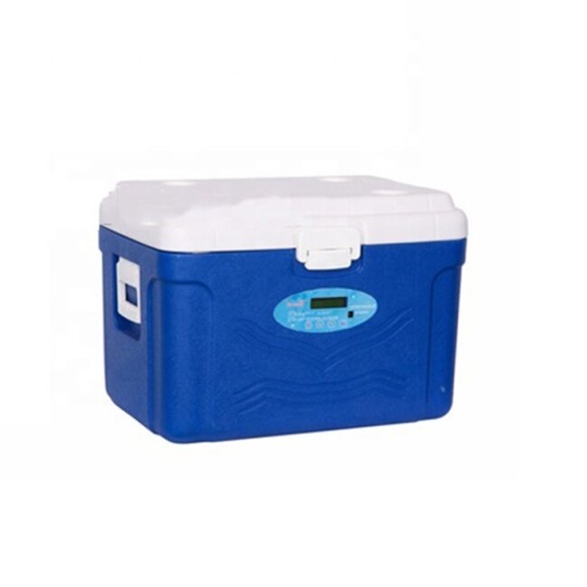 Chargeable 220V 50HZ Mini Portable Cooler Box Car Refrigerator