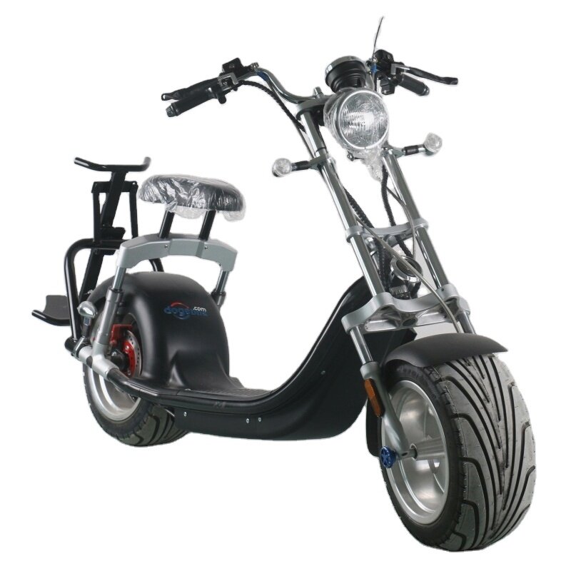 2020 new product Fashionable Electric Bicycle 1500/3000 Watt Electric