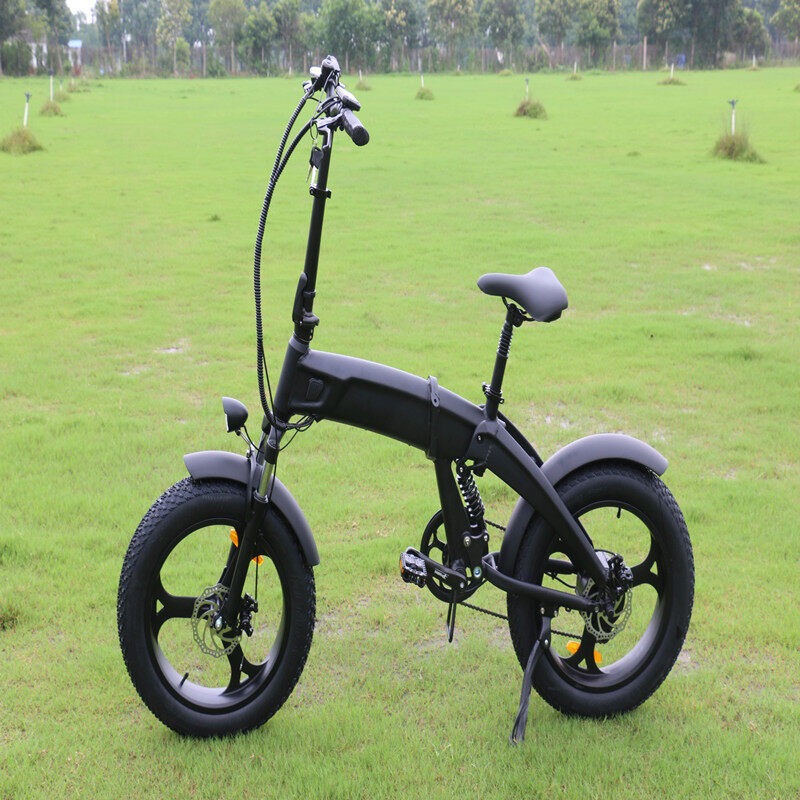 Electric Bike 750W Foldable E Bike with Removable 48V 10.4A Lithium Battery and 20 Inch Tire Max Speed 40KM/H New Snow Mountain Bike X1 Modeld