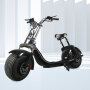 EU warehouse stock SC10 with EEC/COC certificate 1500w motor 60v-12/20ah battery electric scooter