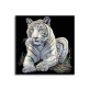 High end rolled packing lovely white tiger animal painting, hanging canvas art painting without frame
