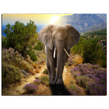 wholesale  Diy Painting Cross Stitch Elephant Full Drill Mosaic Picture Diamond Embroidery Home wall Decor