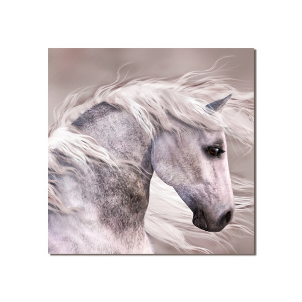 Animals Wall Art Poster Print  horse Canvas Paintings for Living Room Kid Room pictures Decor
