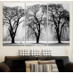 3pcs/set Hot Selling Free shipping white black Trees Canvas Art Modern Home Wall Decorative HD Print Painting no frame