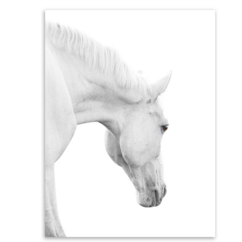 Triptych Modern White Horse Head Photo A4 Poster Impression Animals Wall Picture Nordic Home Decor Canvas Painting No Frame Gift