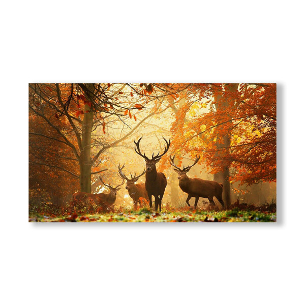 Factory direct sales forest DIY digital oil painting pure hand-painted by digital filling home decoration oil painting