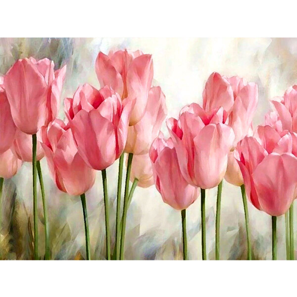 Amazon Painting Diy Digital Painting By Numbers Handmade Art Picture Pink Tulips Oil Painting For Home Wall Artwork