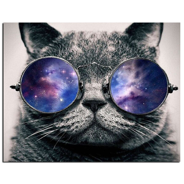 Cat wear sun glass DIY Painting By Numbers HandPainted Oil Painting Kill Time Home Decor Accessories