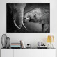 Wholesale Custom New Black and White Elephant Poster Other Wall Paintings Art on Canvas